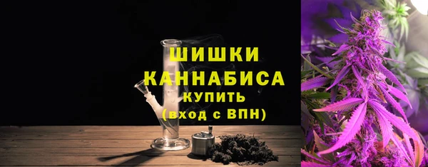 прущие грибы Абаза