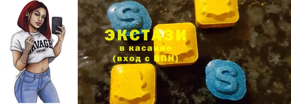 хмурый Алексин
