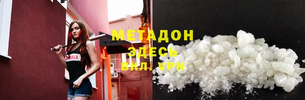 прущие грибы Абаза
