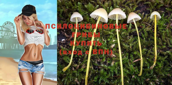 spice Абинск
