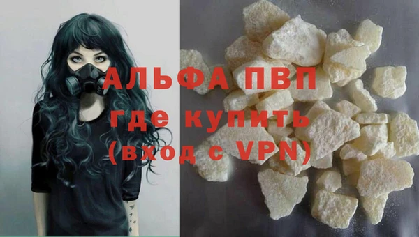 прущие грибы Абаза