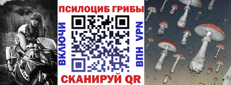Псилоцибиновые грибы мицелий Кашира